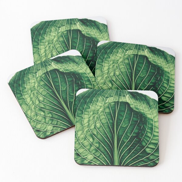 Item preview, Hosta Leaf Photograph designed and sold by MazGhani.