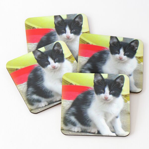 Item preview, Chaton noir et blanc designed and sold by angel1.
