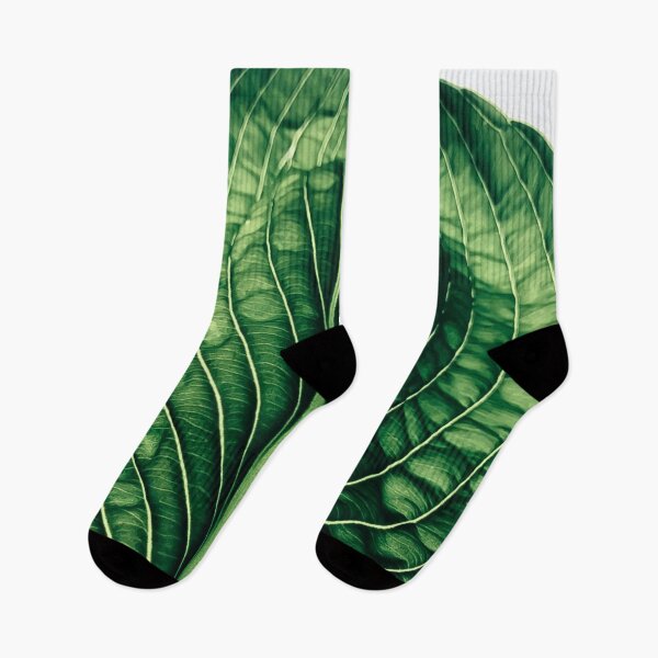 Item preview, Hosta Leaf Photograph designed and sold by MazGhani.