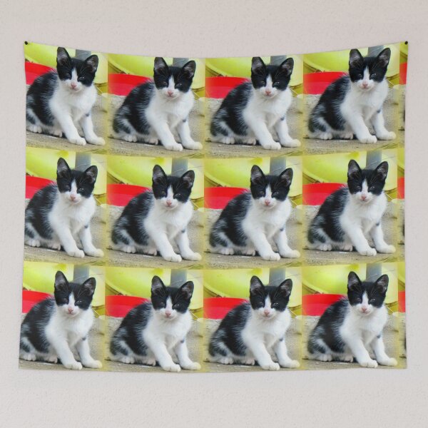 Item preview, Chaton noir et blanc designed and sold by angel1.