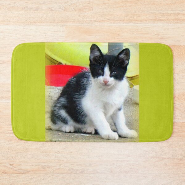 Item preview, Chaton noir et blanc designed and sold by angel1.