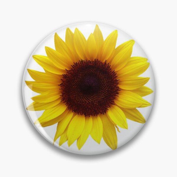 Big Head Pins And Buttons Redbubble - sunflower lapel pin roblox