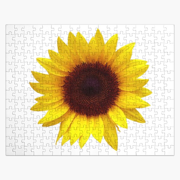 Artikel-Vorschau von Große Sonnenblume, designt und verkauft von Designs By Creation.
