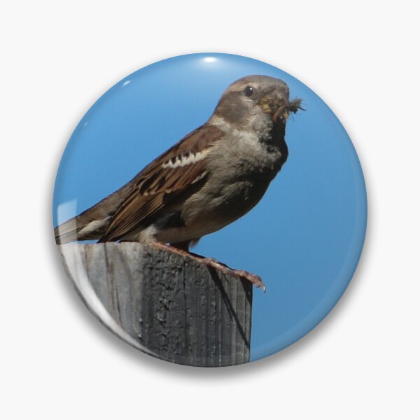 Item preview, Breakfast or Lunch? designed and sold by Susie Kramer.