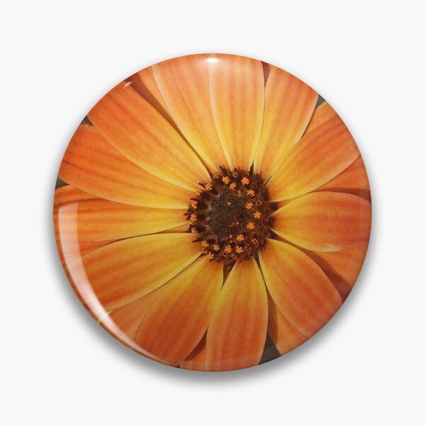 Item preview, Colour Me Orange! Cute Cape Daisy designed and sold by BlueMoonRose.