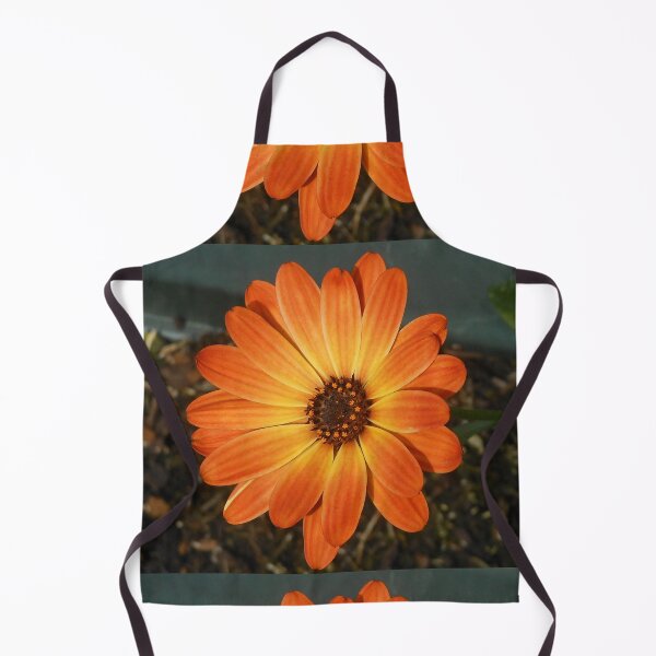 Item preview, Colour Me Orange! Cute Cape Daisy designed and sold by BlueMoonRose.
