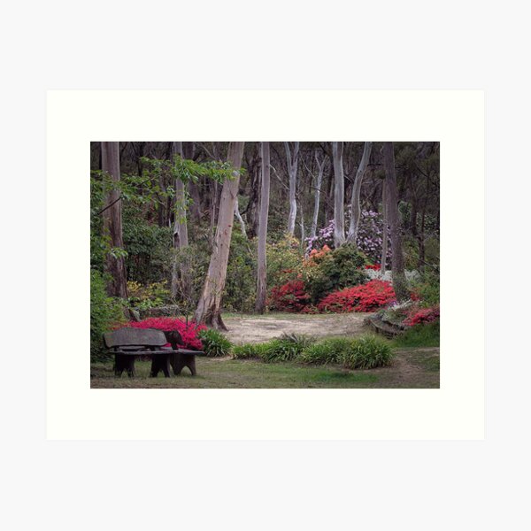Item preview, Rhododendron gardens, Blackheath designed and sold by Harley Rustin.
