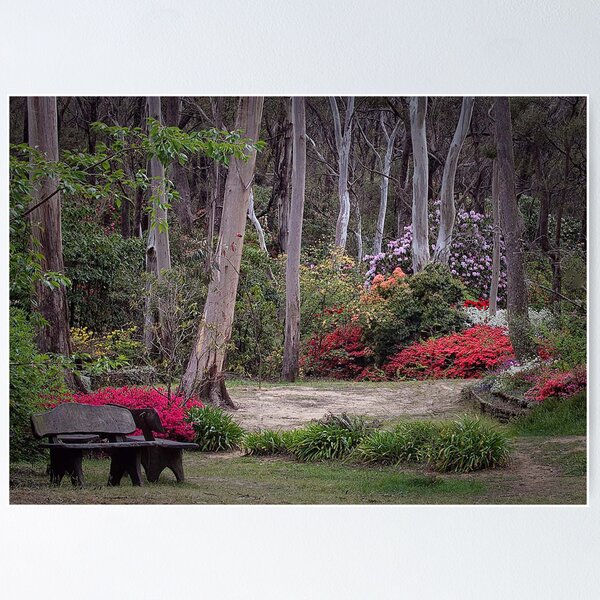 Item preview, Rhododendron gardens, Blackheath designed and sold by Harley Rustin.