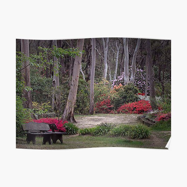 Rhododendron gardens, Blackheath Poster
