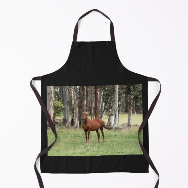 Item preview, Brindabella Brumby, Brindabella Ranges, N.S.W. Australia. designed and sold by kaysharp.