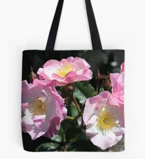 Paris 2000 Tote Bag