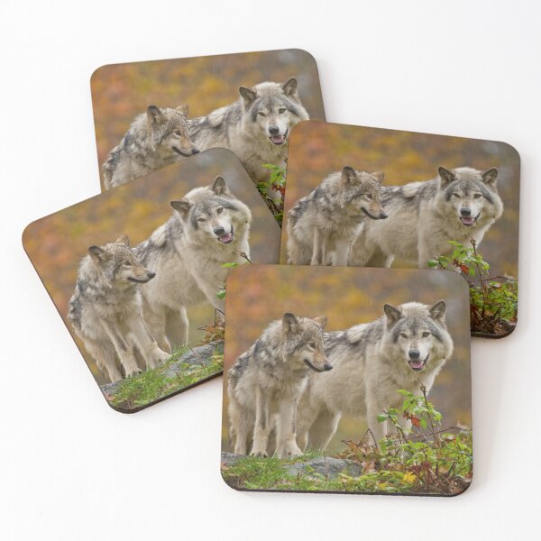 Item preview, Timber Wolves designed and sold by WolvesOnly.