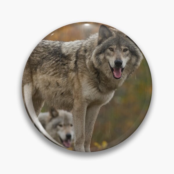 Item preview, Timber Wolves designed and sold by WolvesOnly.