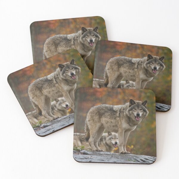 Item preview, Timber Wolves designed and sold by WolvesOnly.