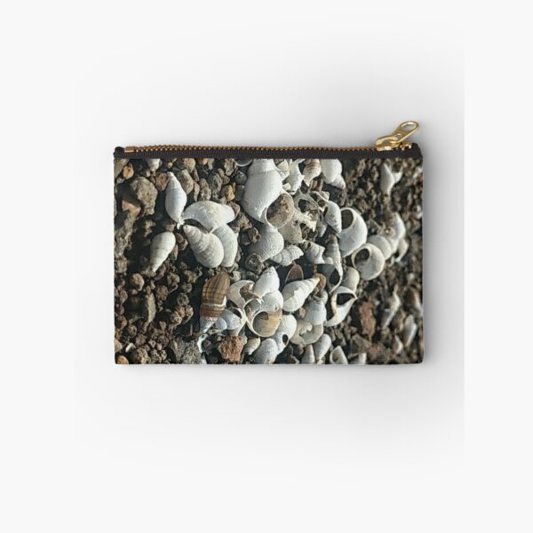 Item preview, Shells  designed and sold by Talwaran.