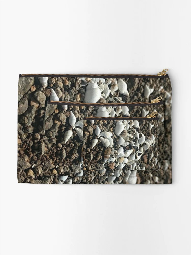 Thumbnail 2 of 4, Zipper Pouch, Shells designed and sold by Talwaran.