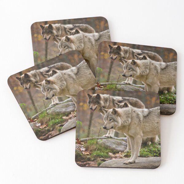 Item preview, Timber Wolves designed and sold by WolvesOnly.