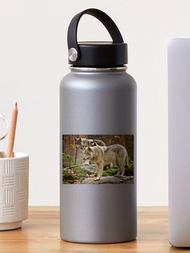Thumbnail 1 of 3, Sticker, Timber Wolves designed and sold by WolvesOnly.