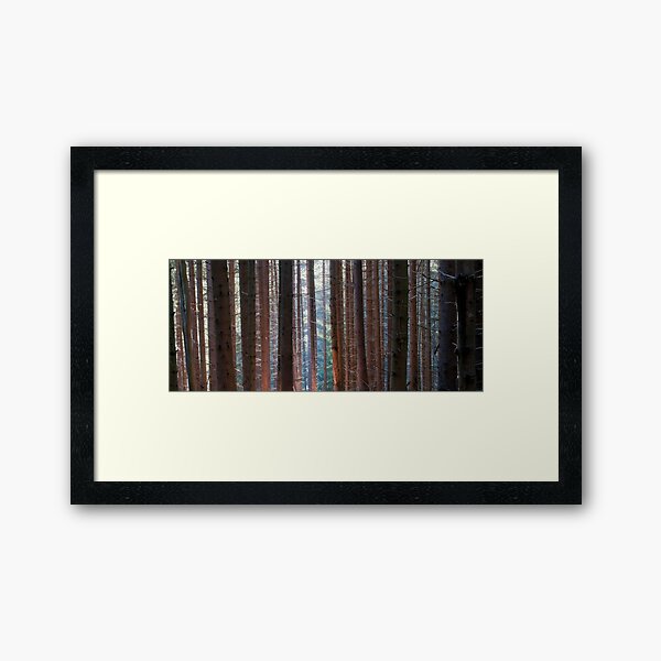 Parallel lives Framed Art Print