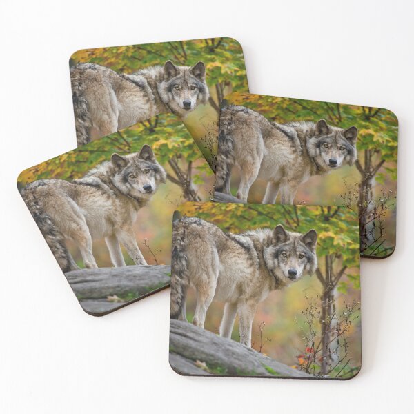 Item preview, Timber Wolf designed and sold by WolvesOnly.