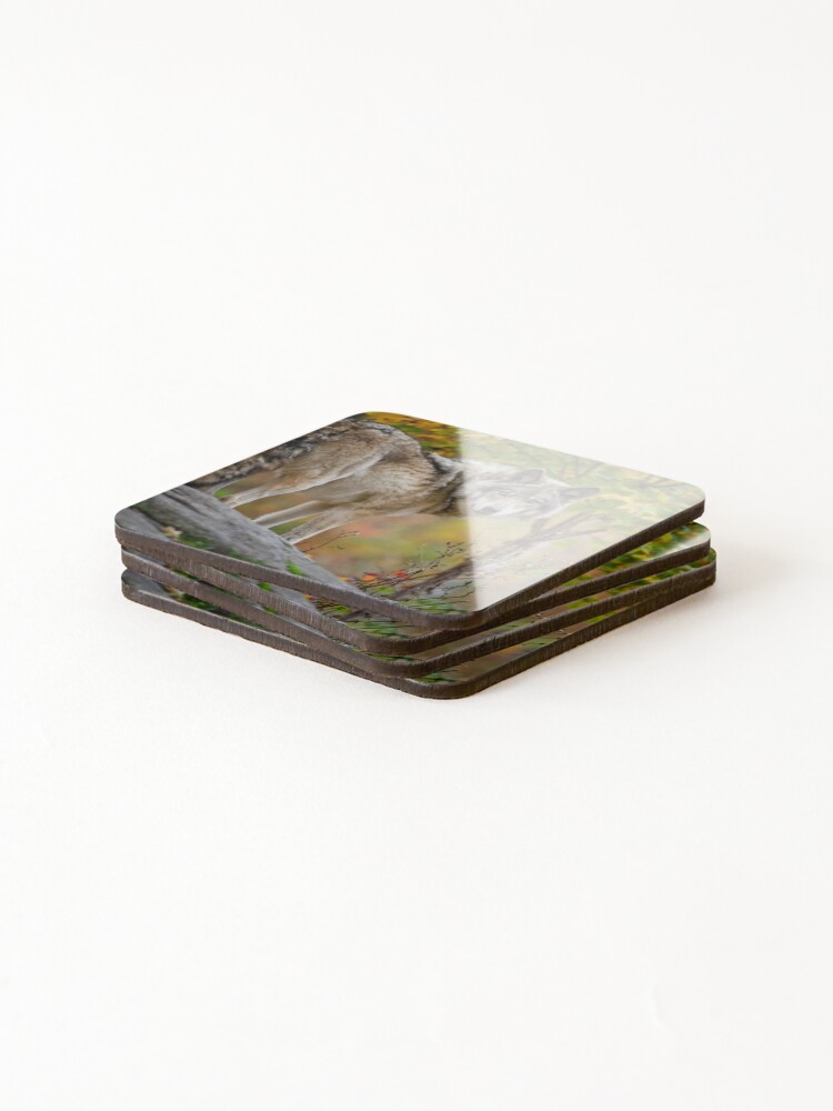 Thumbnail 4 of 5, Coasters (Set of 4), Timber Wolf designed and sold by WolvesOnly.