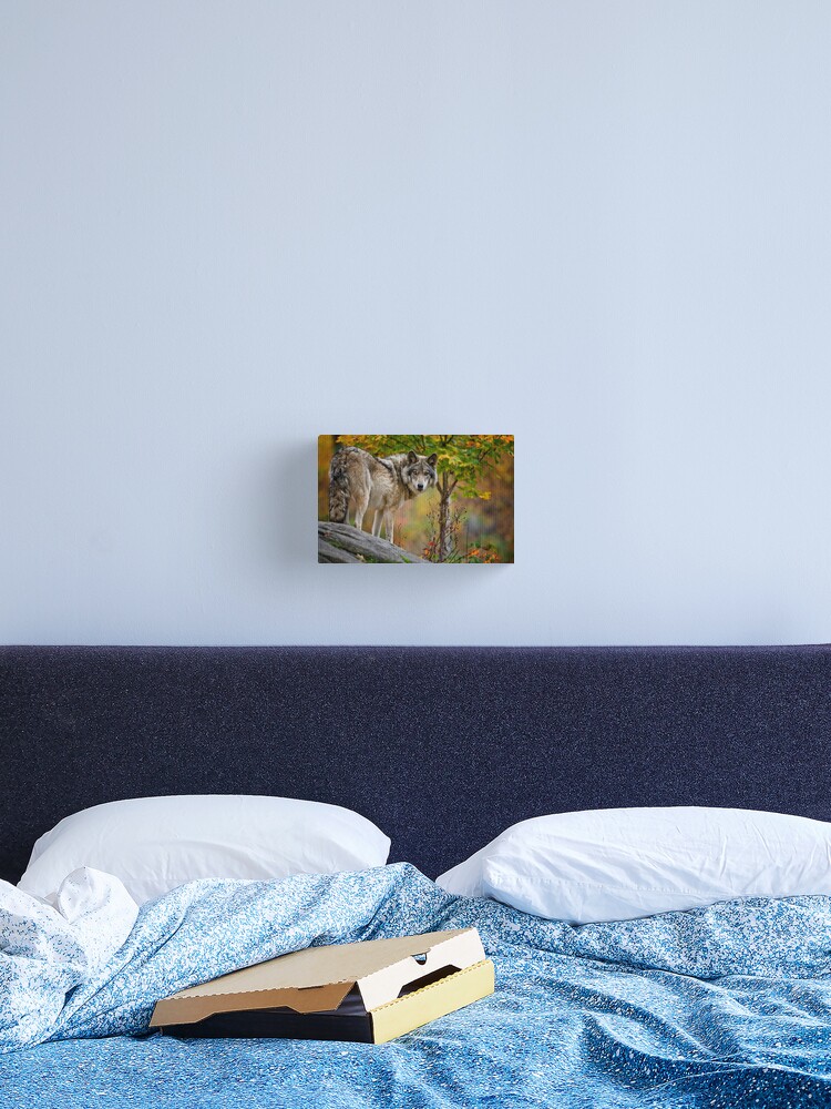 Imagen 2 de 3, Lienzo con la obra Timber Wolf, diseñada y vendida por WolvesOnly.