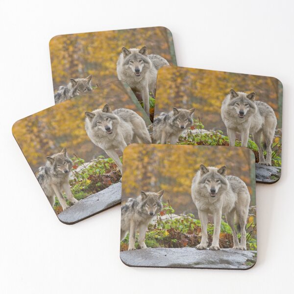 Item preview, Timber Wolves designed and sold by WolvesOnly.