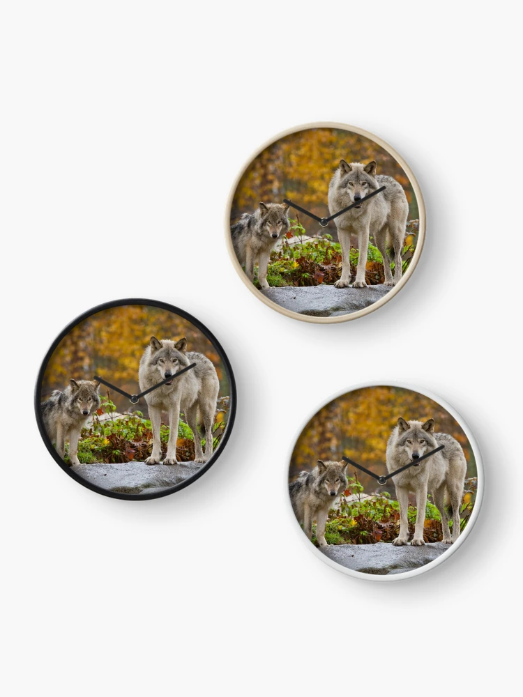 Thumbnail 3 of 4, Clock, Timber Wolves designed and sold by WolvesOnly.