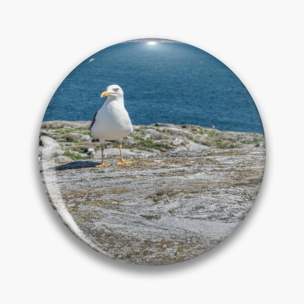 Item preview, Sea gull by the sea designed and sold by EngineerGoC.