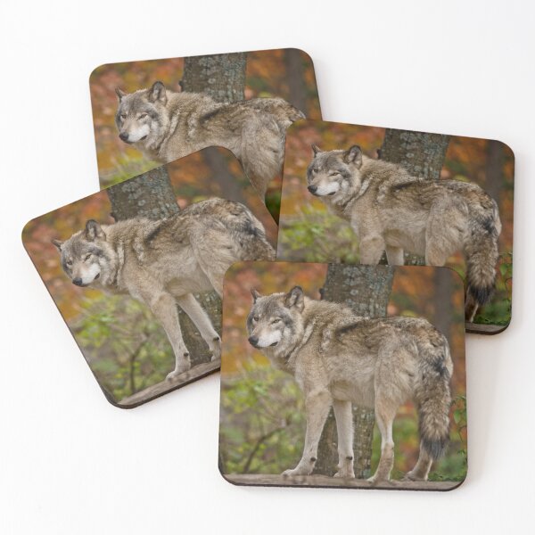 Item preview, Timber Wolf designed and sold by WolvesOnly.