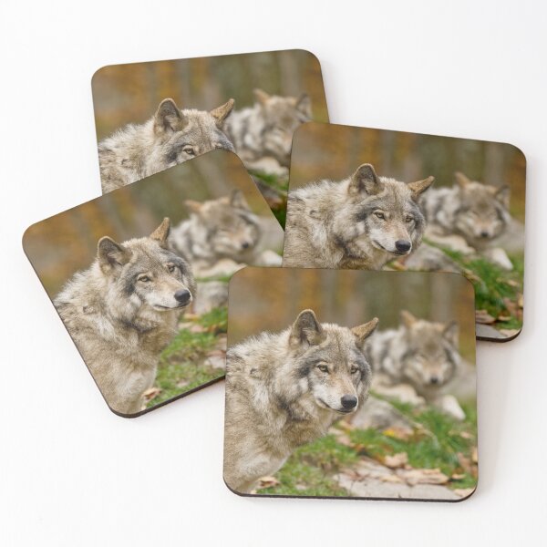 Item preview, Timber Wolves designed and sold by WolvesOnly.