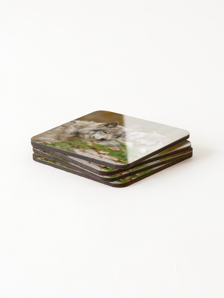 Thumbnail 4 of 5, Coasters (Set of 4), Timber Wolves designed and sold by WolvesOnly.