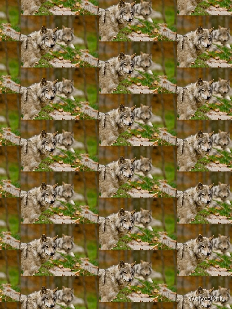 Thumbnail 5 of 5, A-Line Dress, Timber Wolves designed and sold by WolvesOnly.