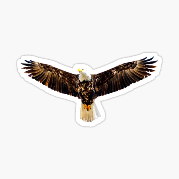 Item preview, Soaring Bald Eagle designed and sold by OwlOccasions.
