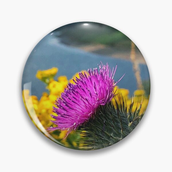 Item preview, A lone thistle overlooking Megget Reservoir, Scottish Borders designed and sold by yourscotborders.