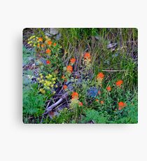 In the Wild Canvas Print