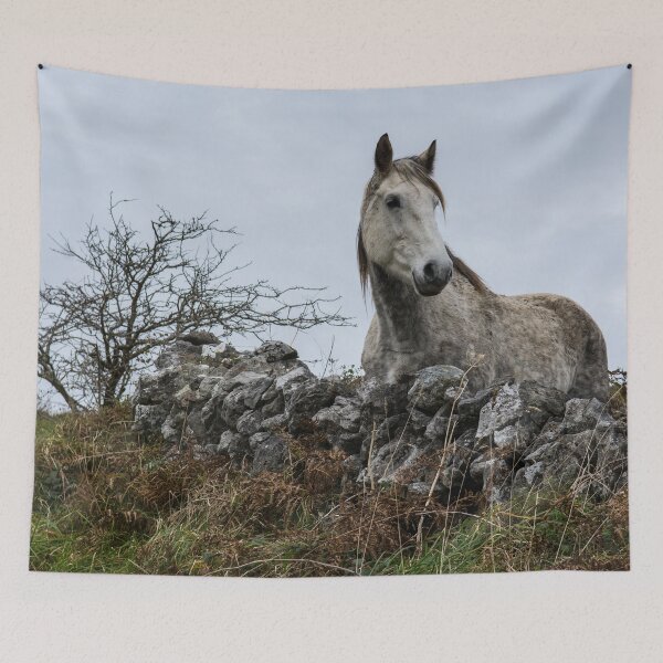 Item preview, Grey Irish Horse in the Wilderness in Ireland designed and sold by krisgreenwood.