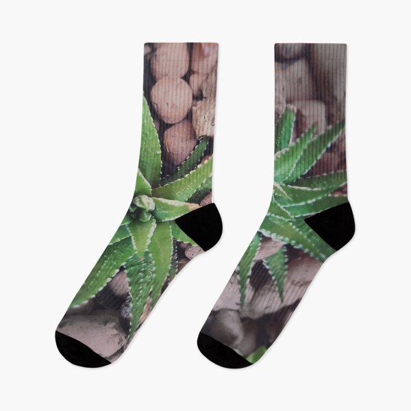 Artikelvorschau, Aloe Vera entworfen und verkauft von CokeyPanda.
