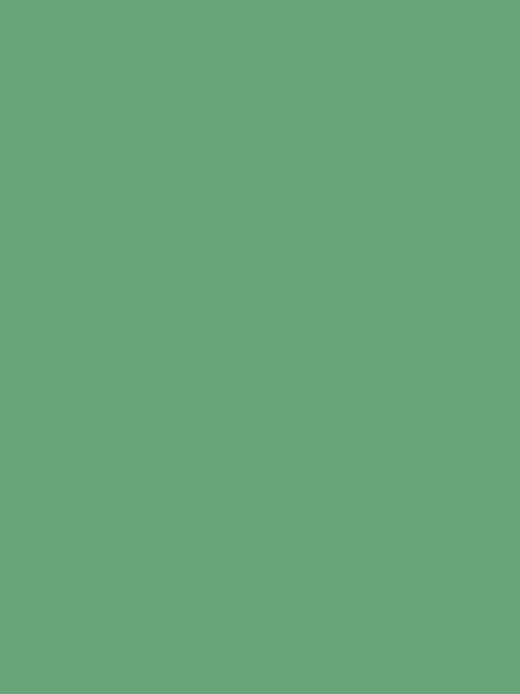 Dark Pastel Mint Green Solid Color Pairs To Sherwin Williams Eco Green SW  6739