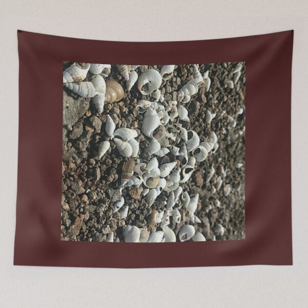 Item preview, Shells  designed and sold by Talwaran.