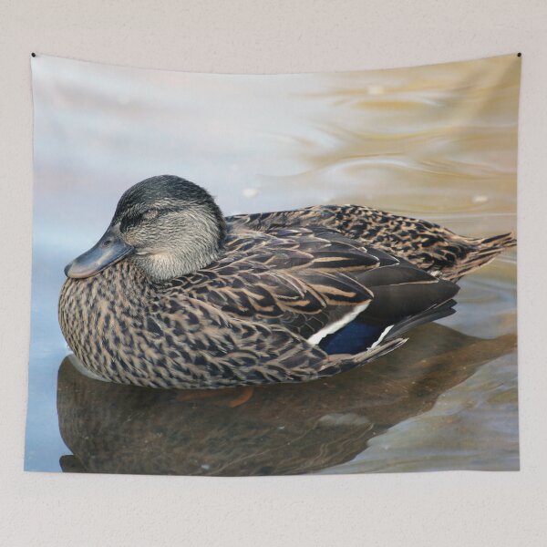Item preview, Sleepy Duck designed and sold by StampCity.
