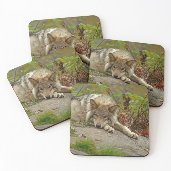 Item preview, Timber Wolf designed and sold by WolvesOnly.