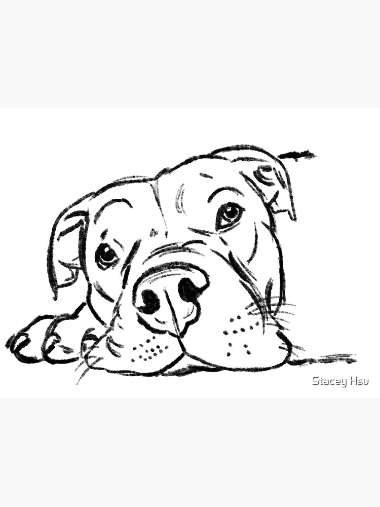 Patriotic Pitbull Dog Lover Military Appreciation Patriot Drawing by Kanig  Designs - Pixels