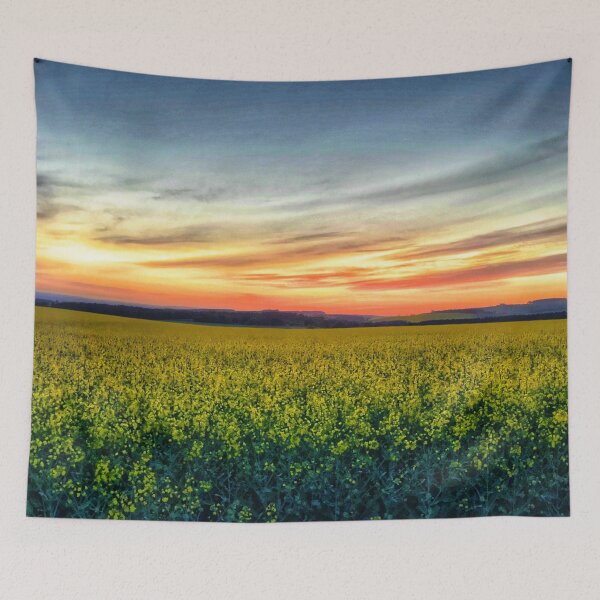 Item preview, Sunrise over a field near Kelso, Scottish Borders designed and sold by yourscotborders.