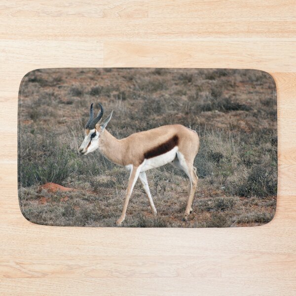 Artikelvorschau, Springbock in Südafrika entworfen und verkauft von HazelWright.