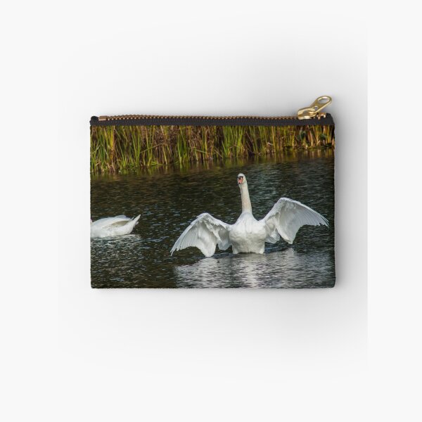Item preview, Swan Flapping designed and sold by chirs1990.
