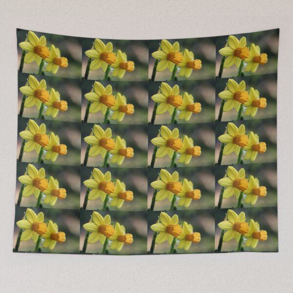 Item preview, Narcissus. designed and sold by John Ray.