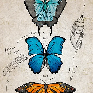 Artwork thumbnail, Transformation by Creative Rafa