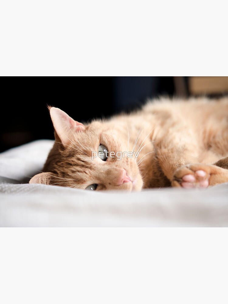 Repose by petegrev