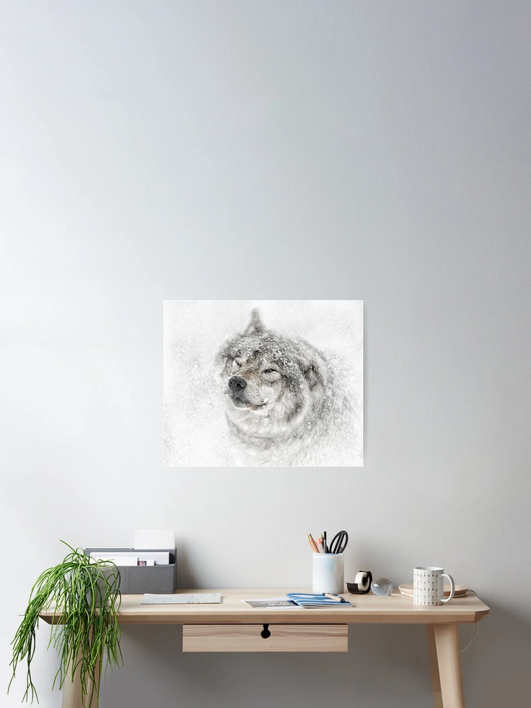 Thumbnail 2 of 3, Poster, Timber Wolf designed and sold by WolvesOnly.